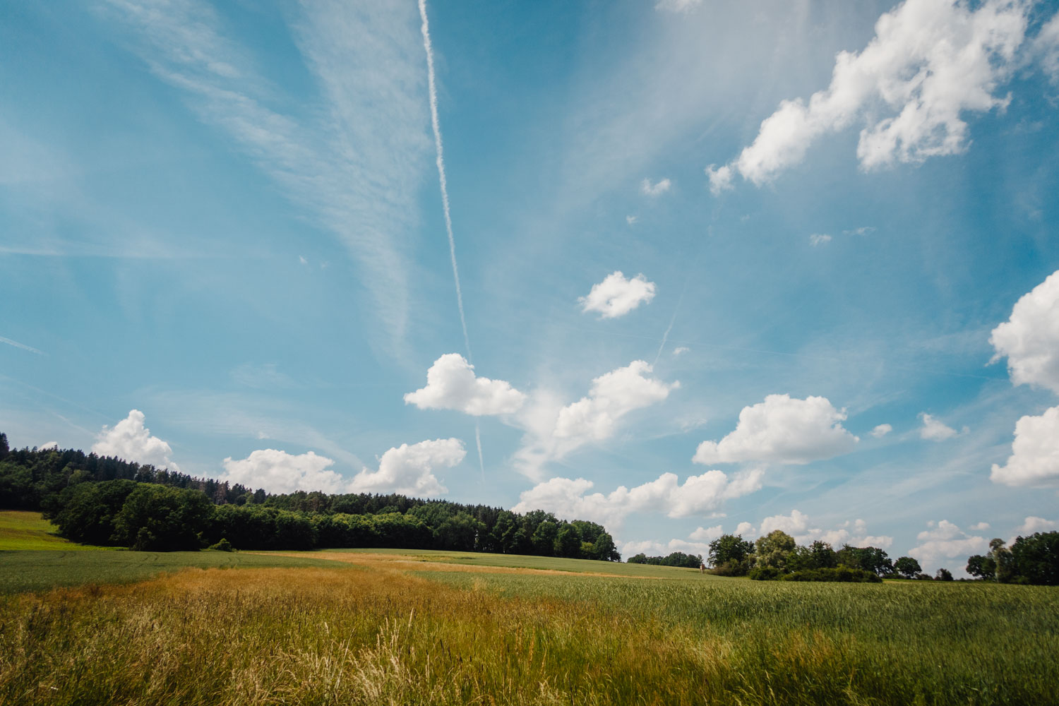 2021-06-27 Glashuetten-0101