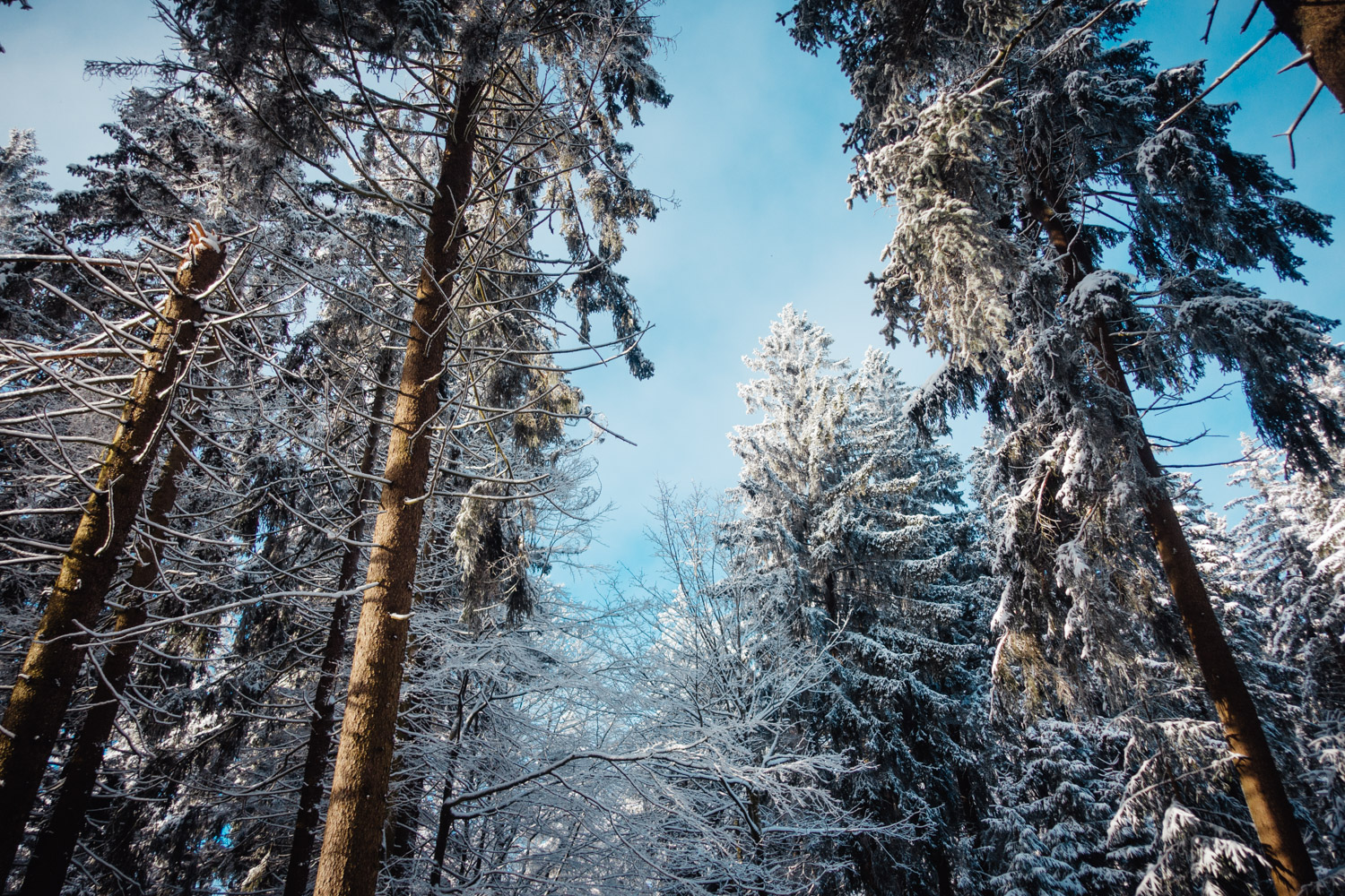 2021-12-10 Schneeberg-0053