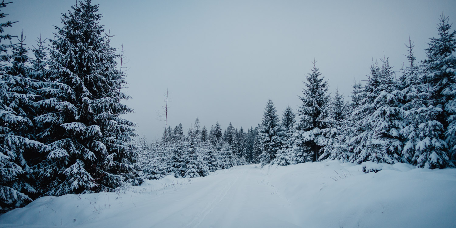 2021-12-10 Schneeberg-0066