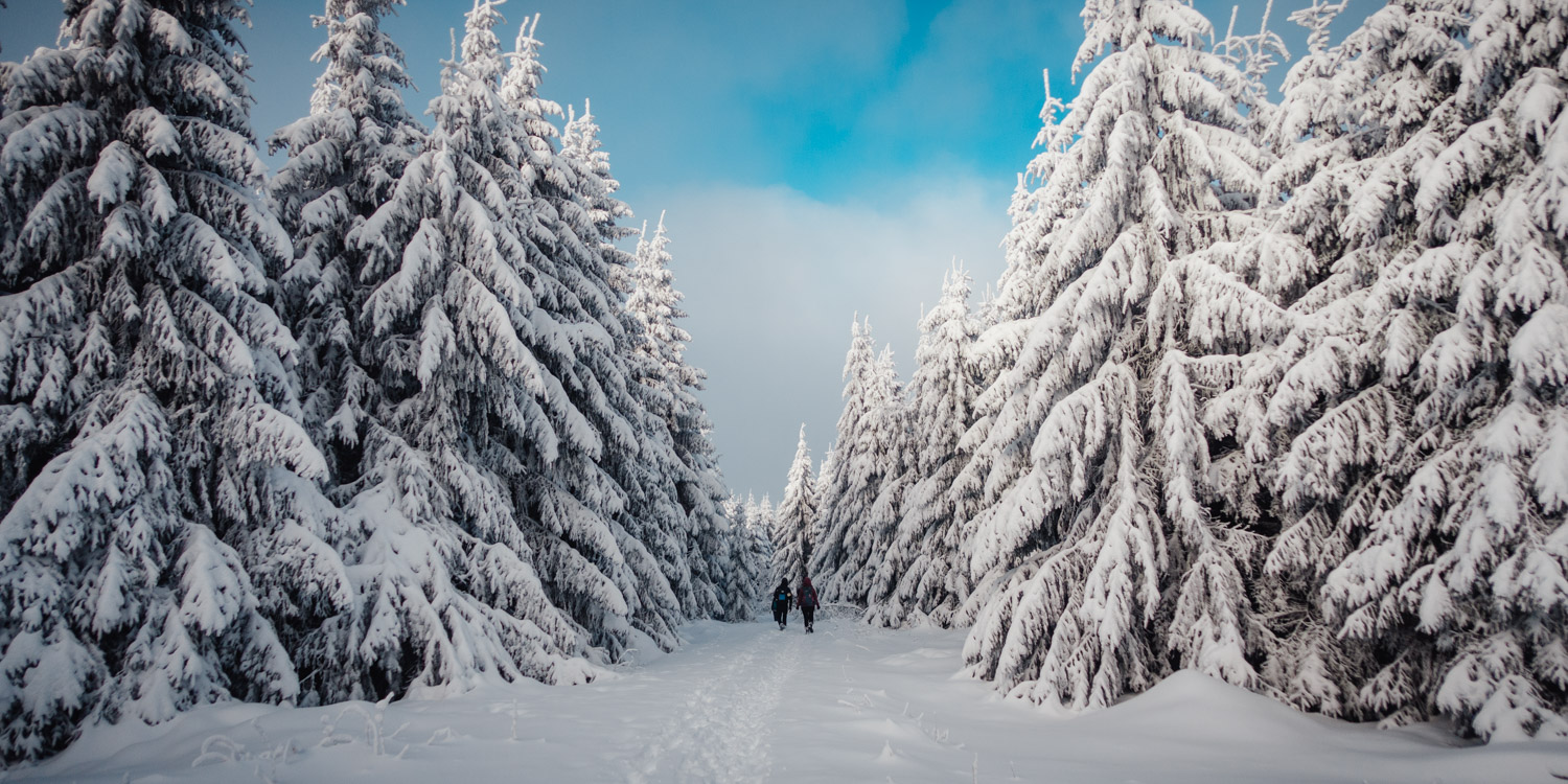 2021-12-10 Schneeberg-0205