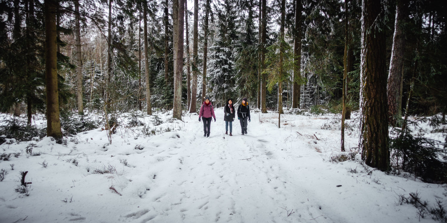 2022-01-28 Rudolfstein-0003