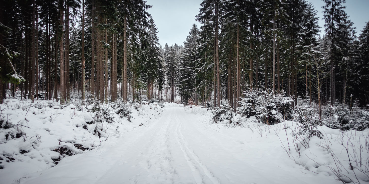 2022-01-28 Rudolfstein-0018