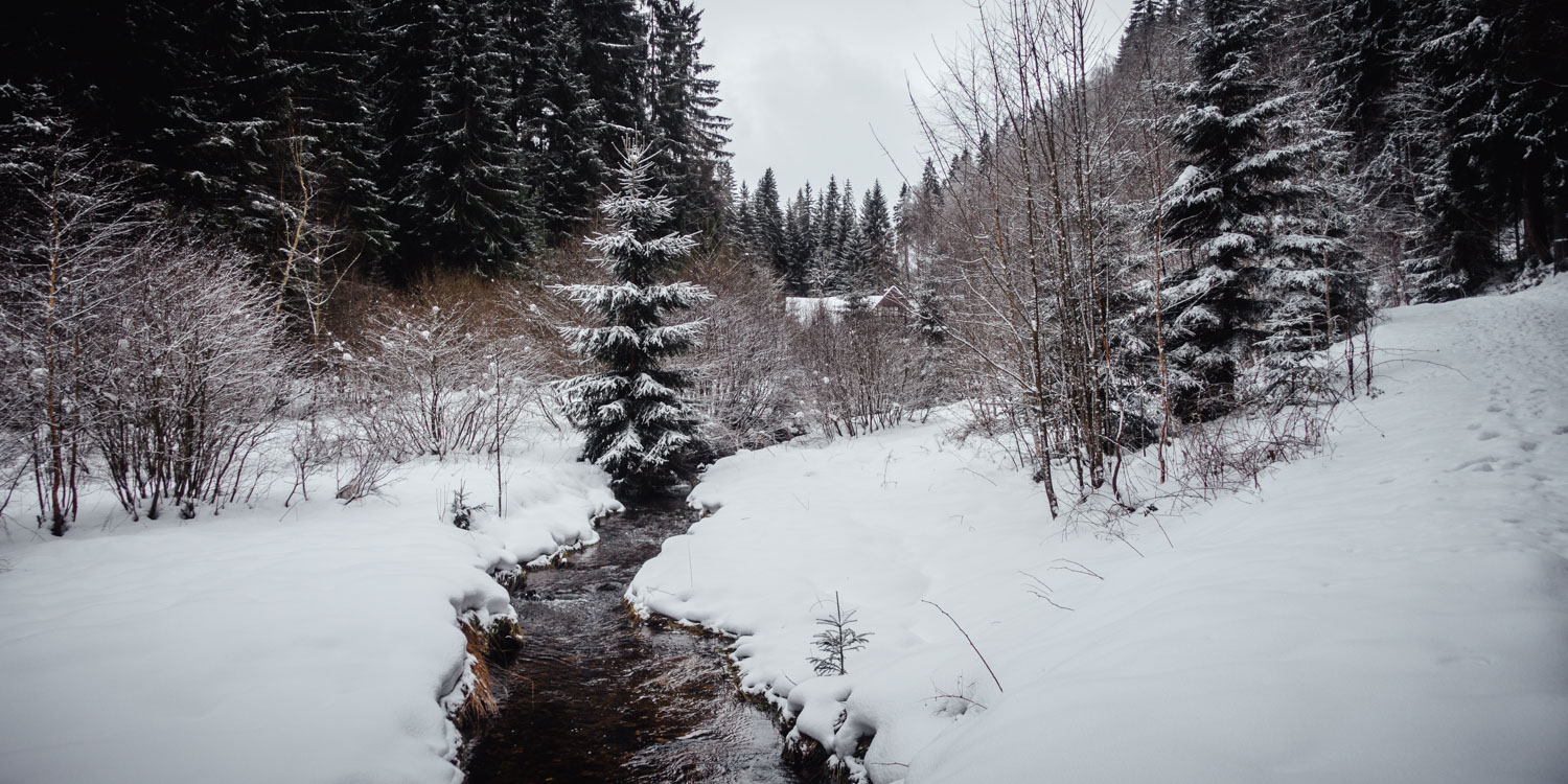 2022-01-28 Rudolfstein-0021