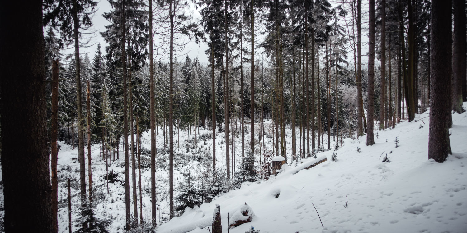 2022-01-28 Rudolfstein-0028