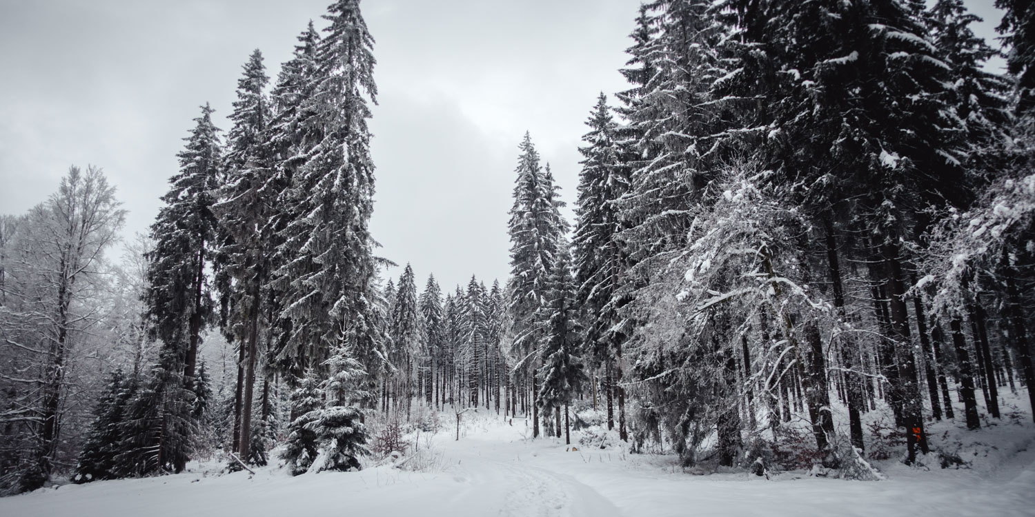 2022-01-28 Rudolfstein-0040