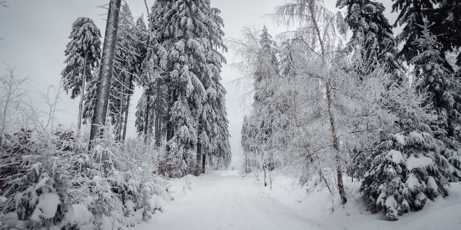 2022-01-28 Rudolfstein-0072