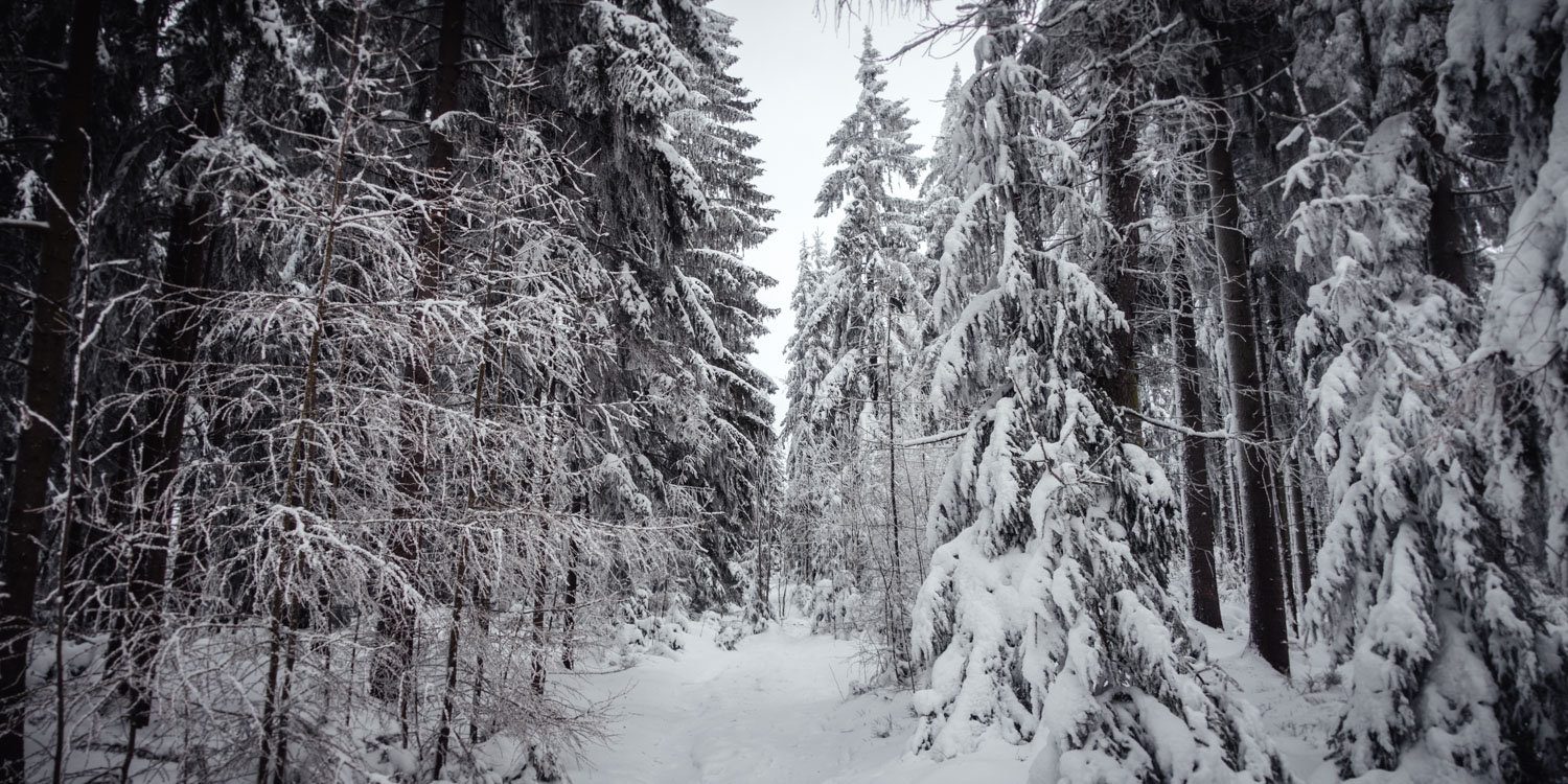 2022-01-28 Rudolfstein-0094