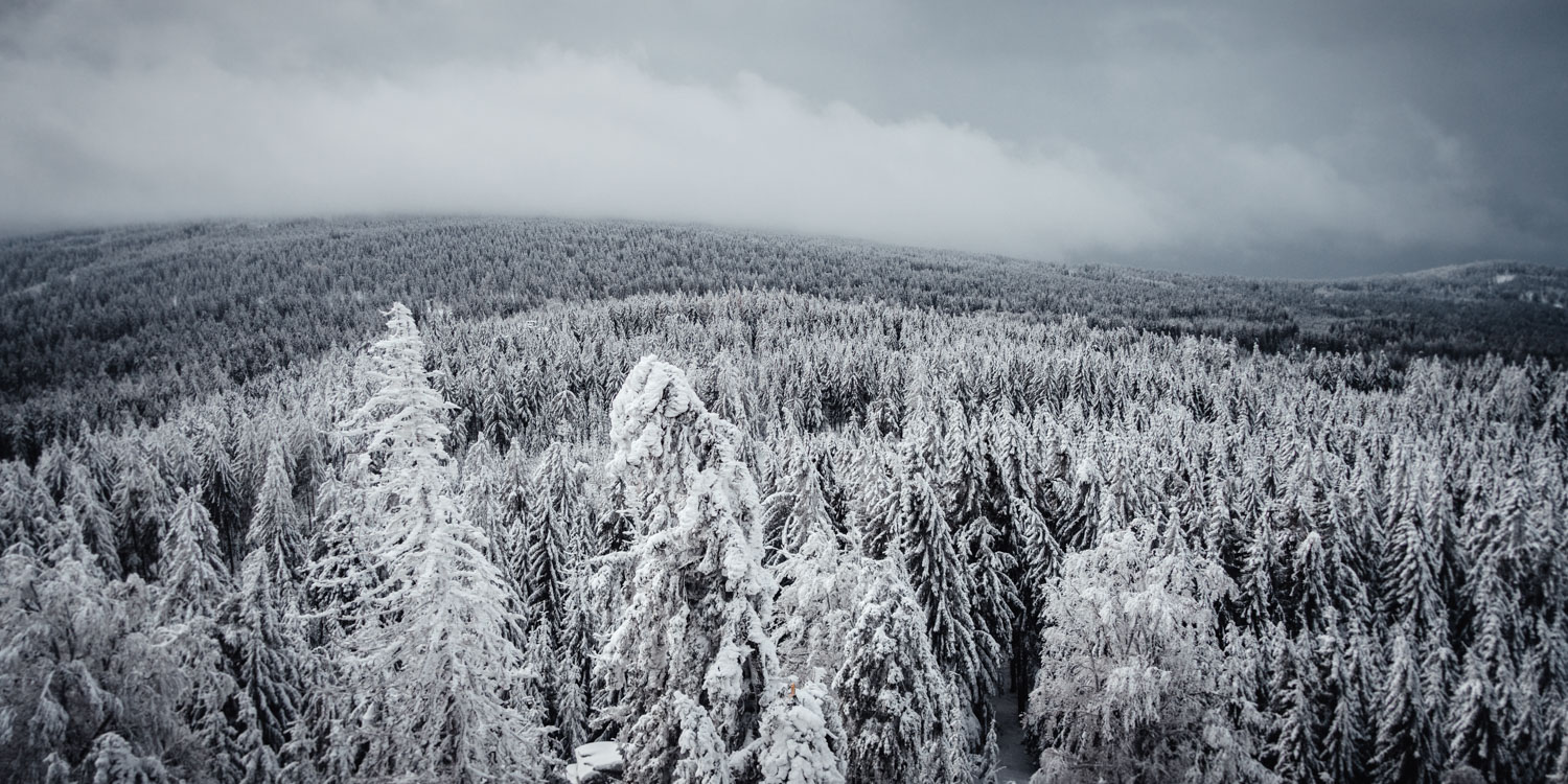 2022-01-28 Rudolfstein-0147