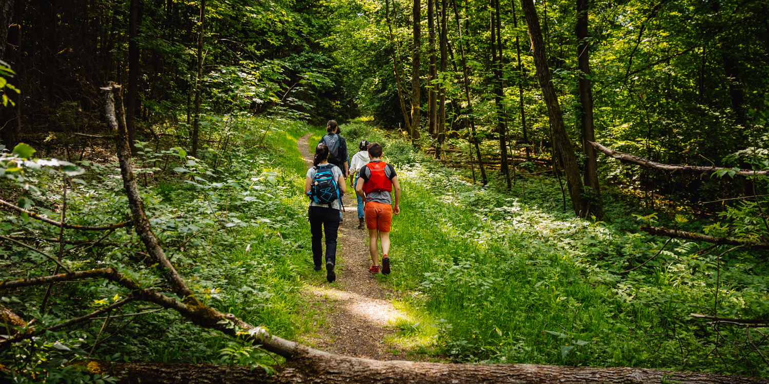 2022-05-22 Blackberry forest-14