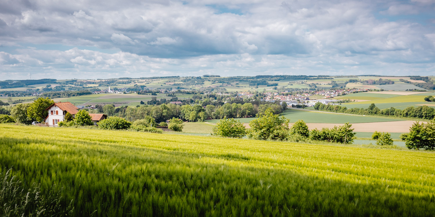 2022-05-22 Blackberry forest-23