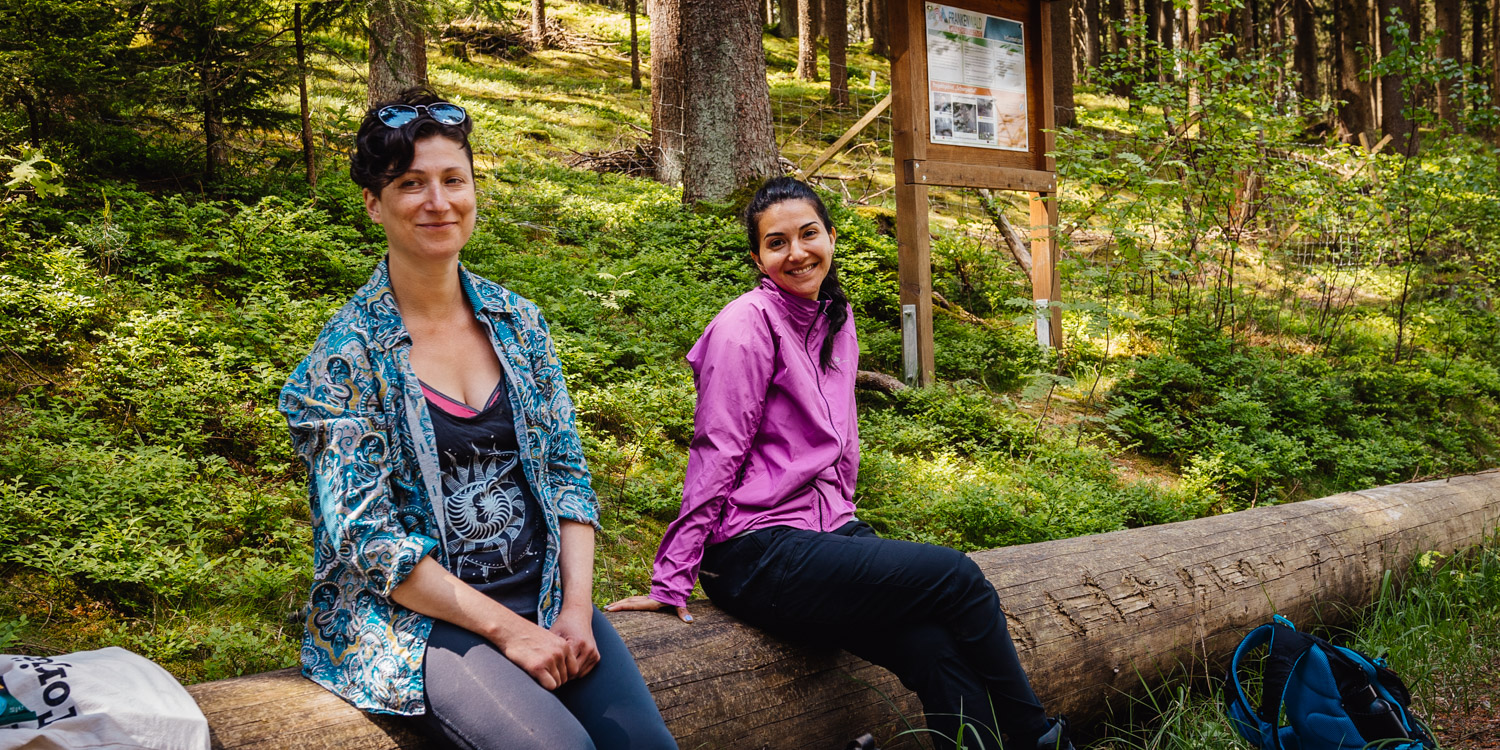 2022-05-22 Blackberry forest-52
