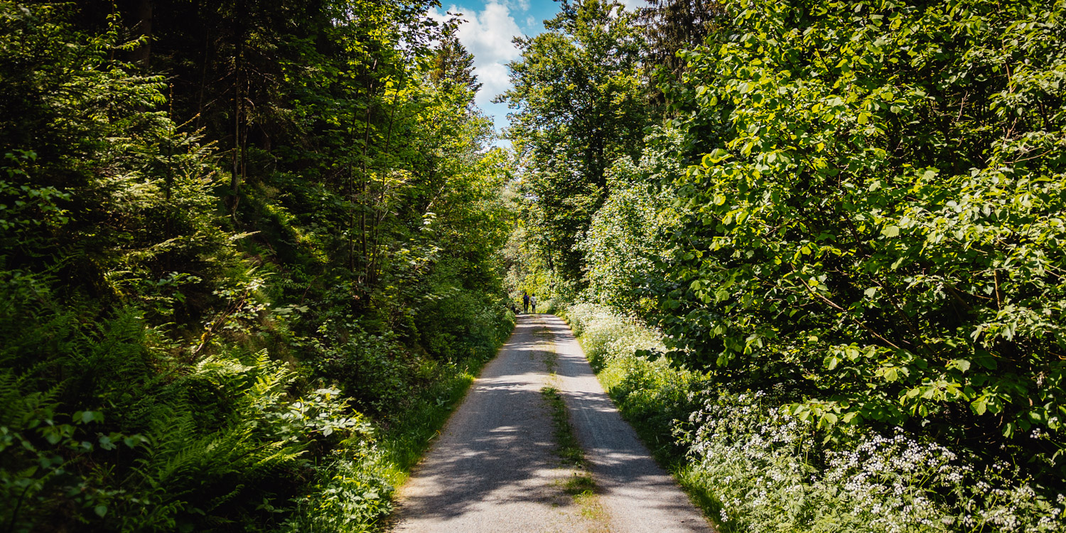Neuenmarkt blackberry route