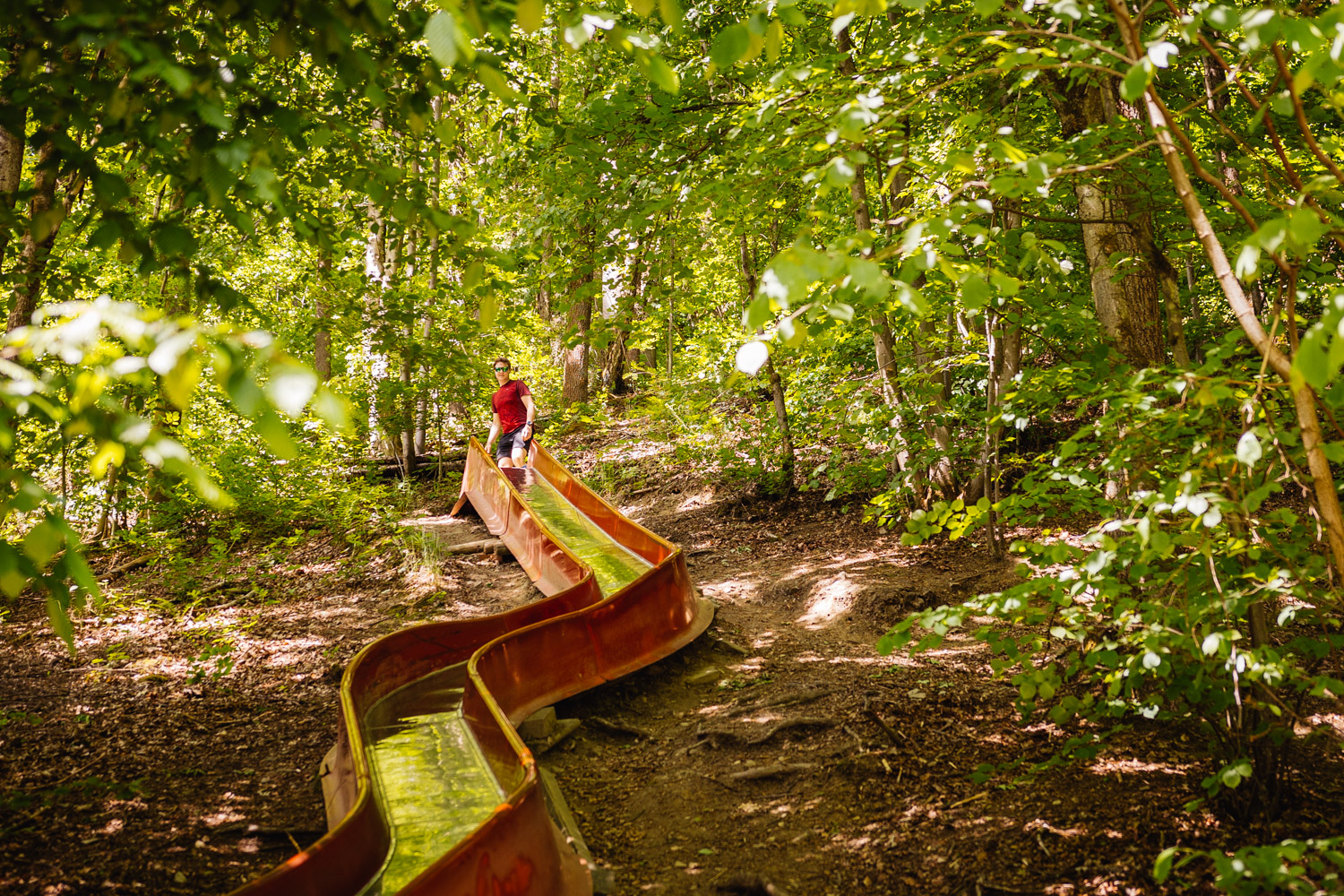 2022-05-22 Blackberry forest-80