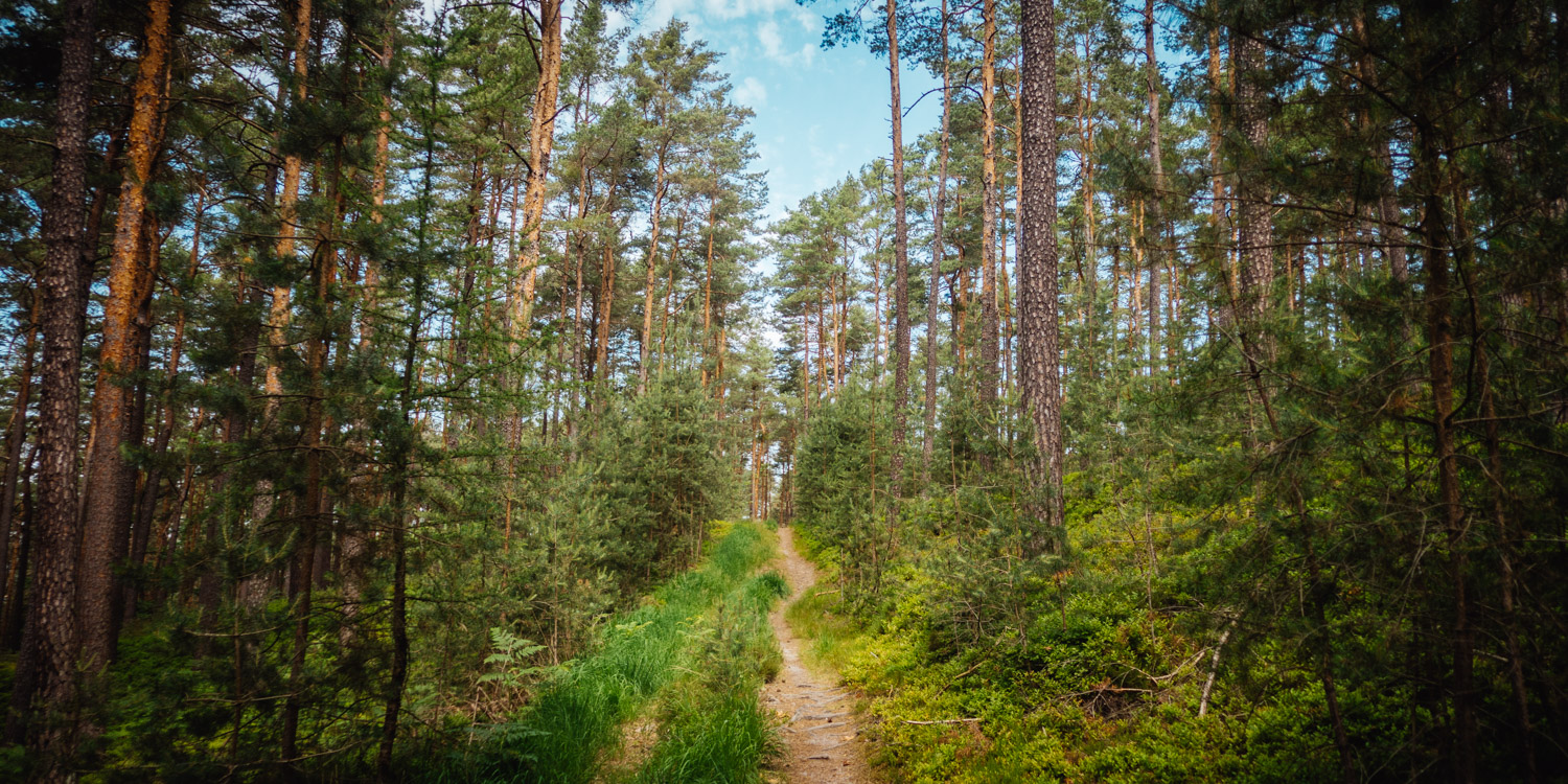 2022-06-19 Trebgast Badesee-0028
