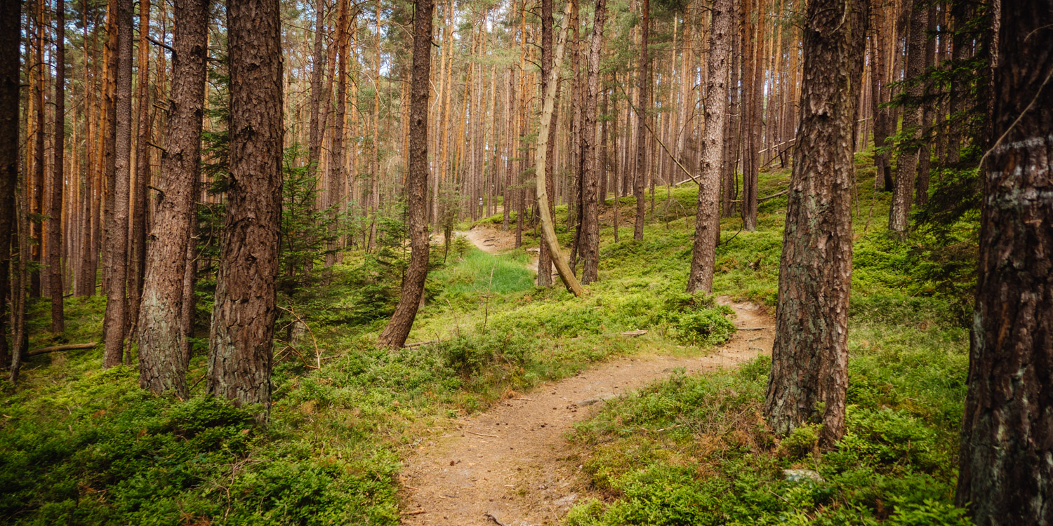 2022-06-19 Trebgast Badesee-0029