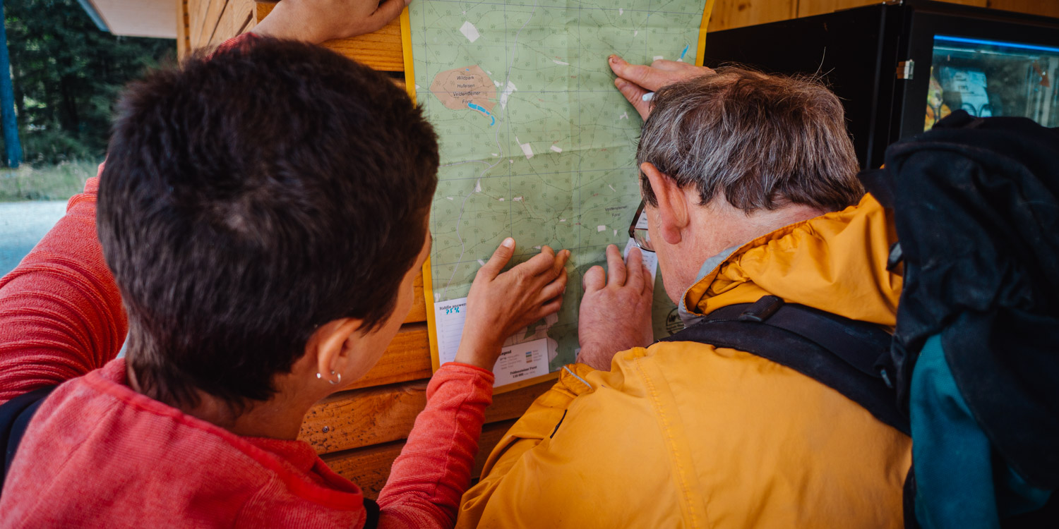 2022-09-04 Orienteering I-0033