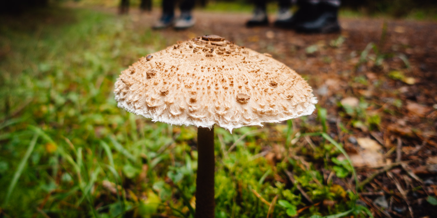 2022-10-01 Creußen to Pegnitz-0017