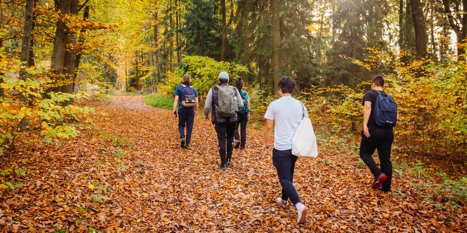 2022-10-29 Kulmbach Autumn Hike-0319