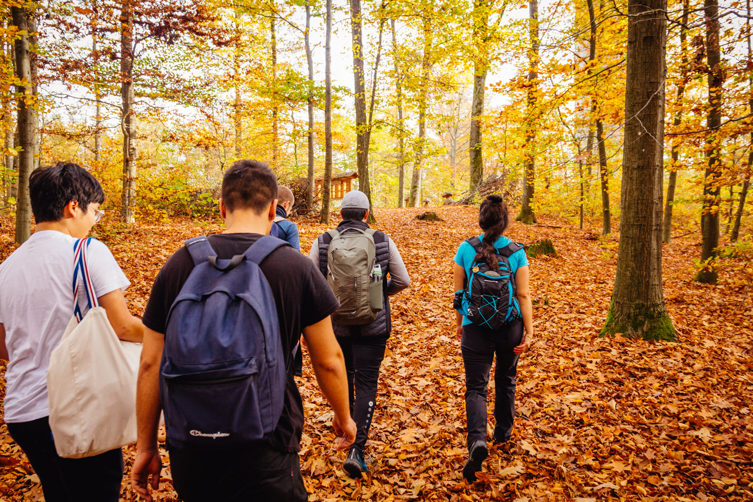 2022-10-29 Kulmbach Autumn Hike-0321