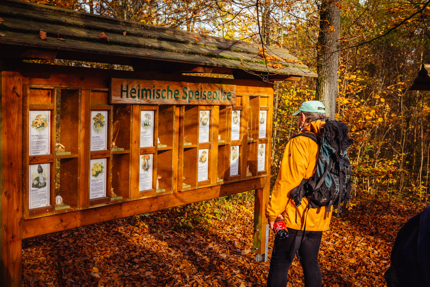 2022-10-29 Kulmbach Autumn Hike-0323