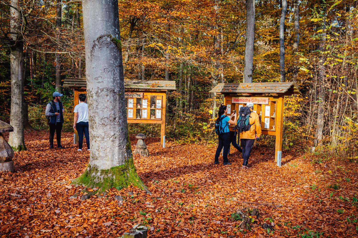 2022-10-29 Kulmbach Autumn Hike-0325