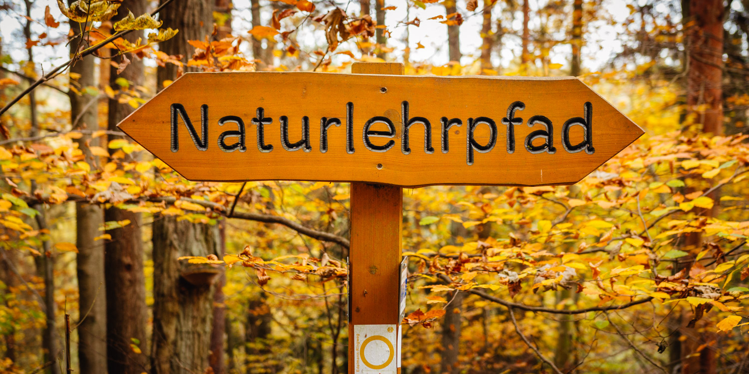 2022-10-29 Kulmbach Autumn Hike-0360