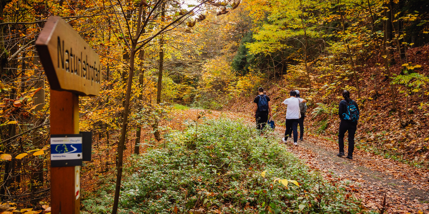 2022-10-29 Kulmbach Autumn Hike-0361