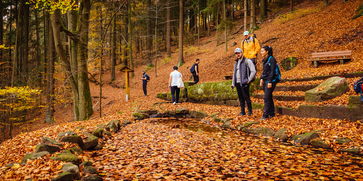 2022-10-29 Kulmbach Autumn Hike-0372