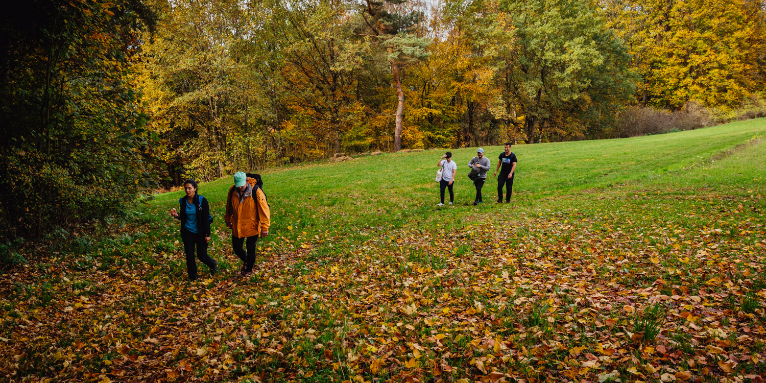2022-10-29 Kulmbach Autumn Hike-0382