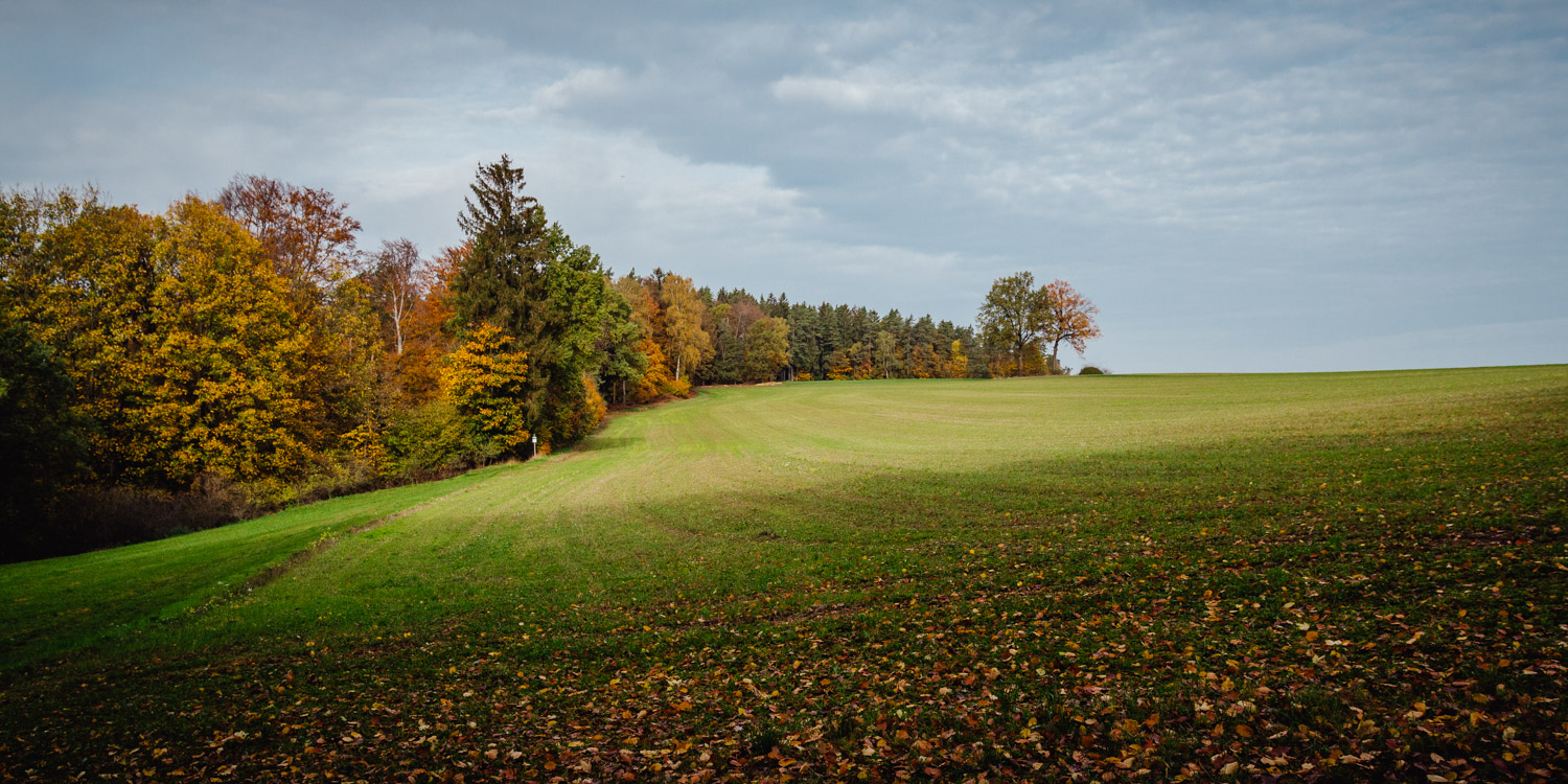 2022-10-29 Kulmbach Autumn Hike-0387