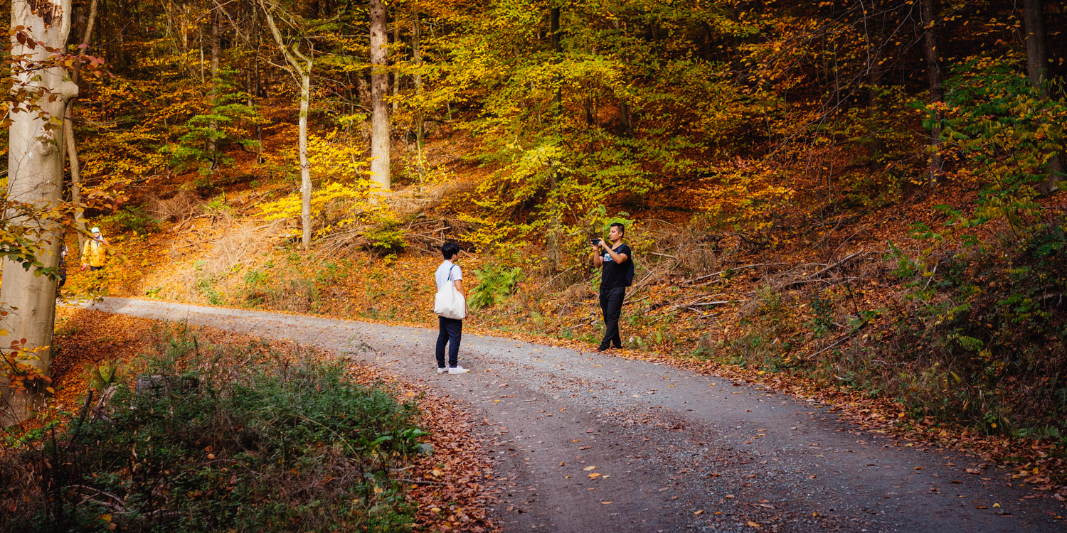 2022-10-29 Kulmbach Autumn Hike-0392