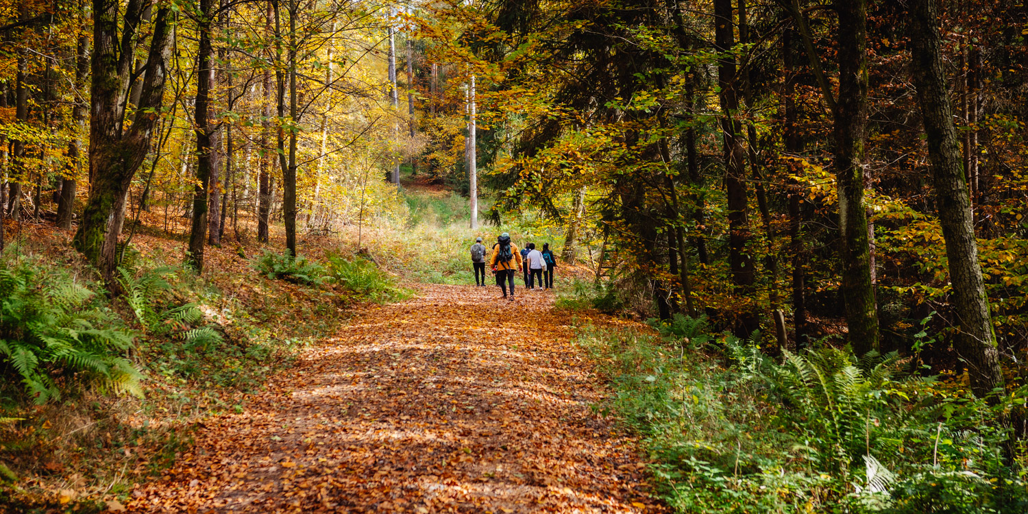 2022-10-29 Kulmbach Autumn Hike-0413