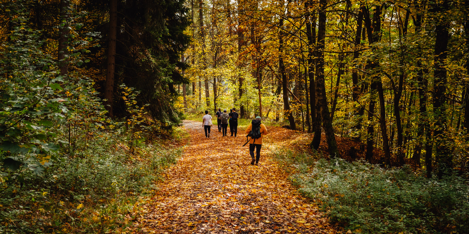 2022-10-29 Kulmbach Autumn Hike-0416