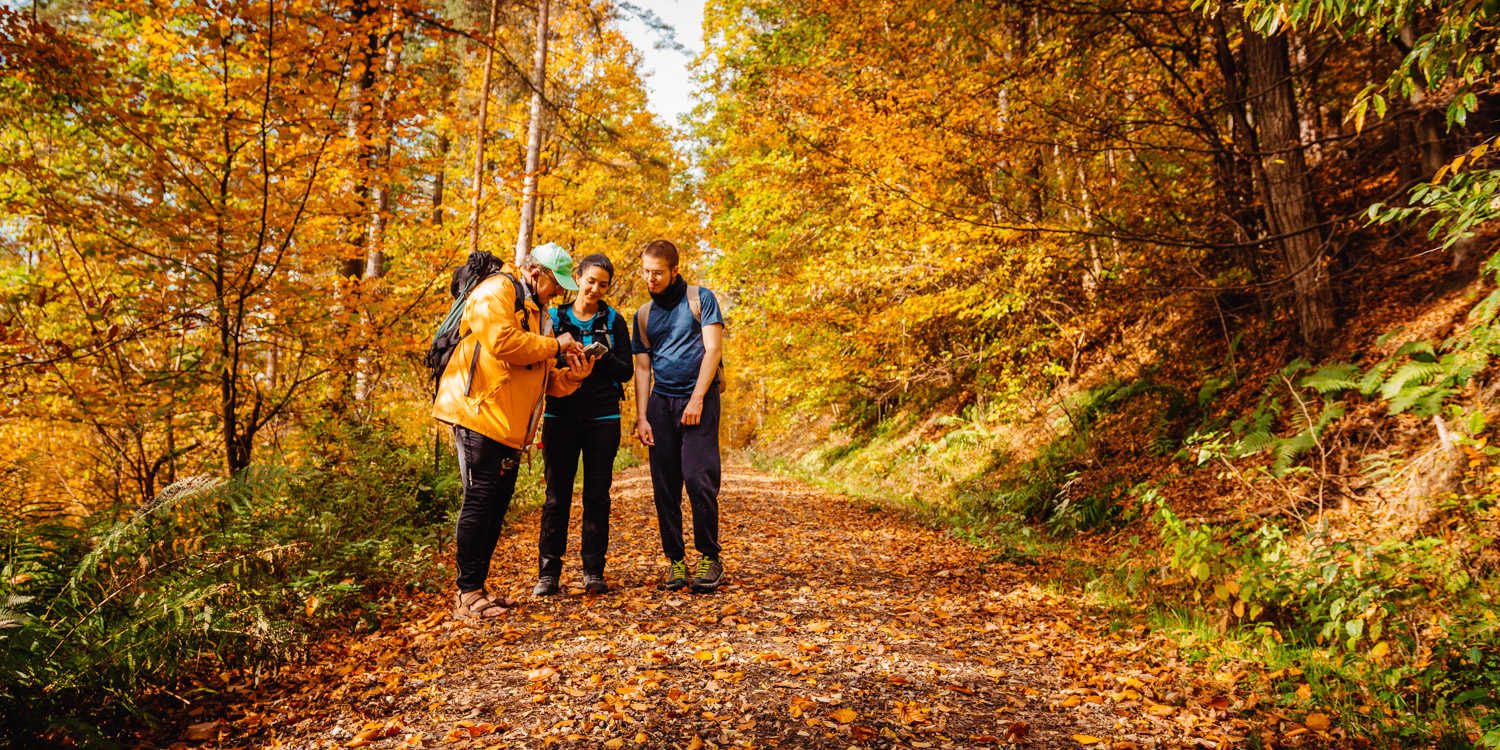 2022-10-29 Kulmbach Autumn Hike-0423
