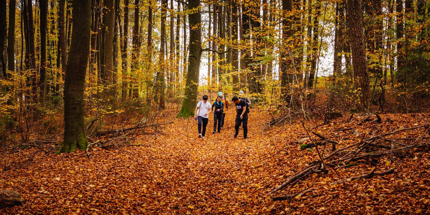 2022-10-29 Kulmbach Autumn Hike-0481