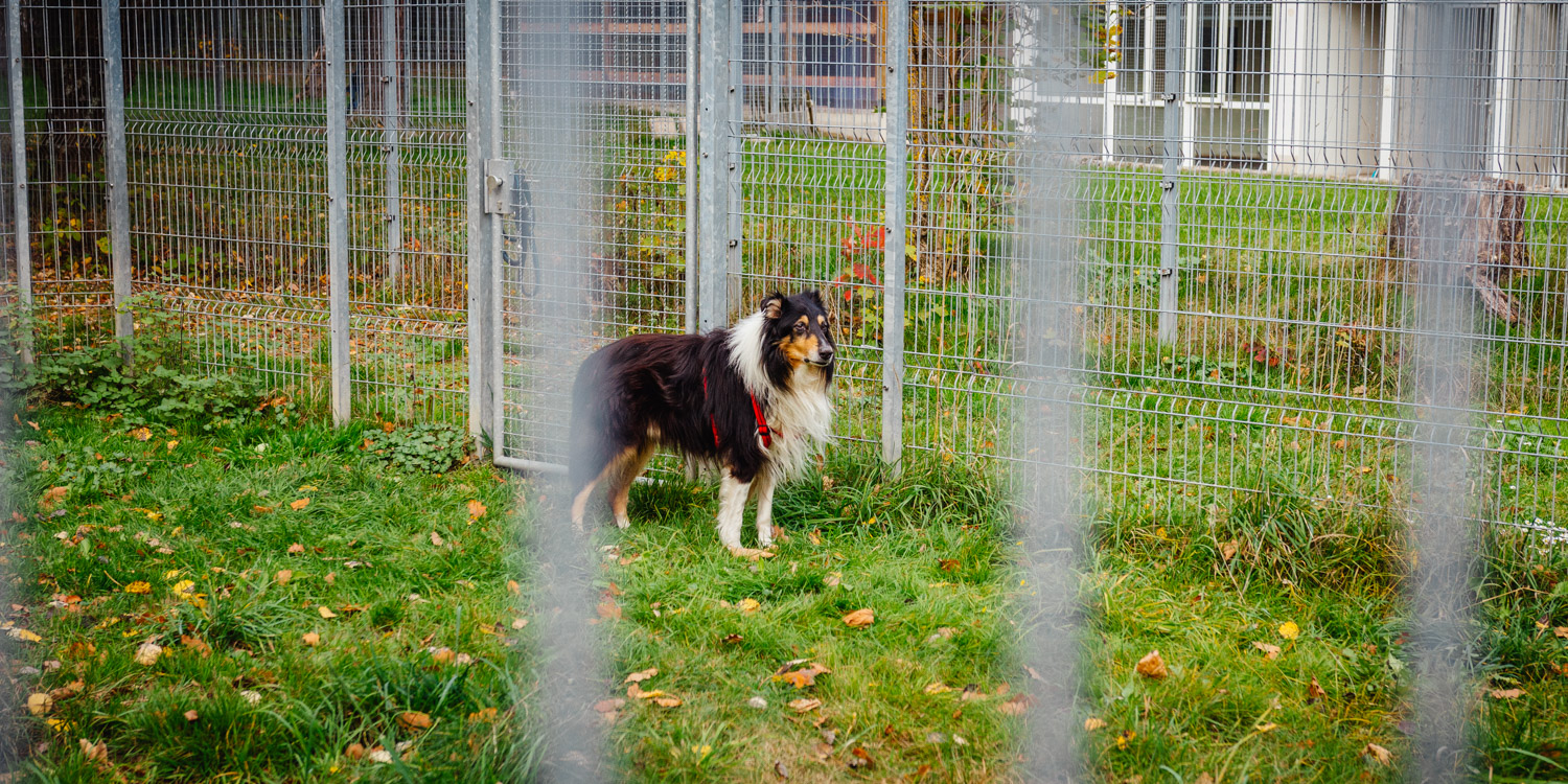 2022-10-29 Kulmbach Autumn Hike-0482
