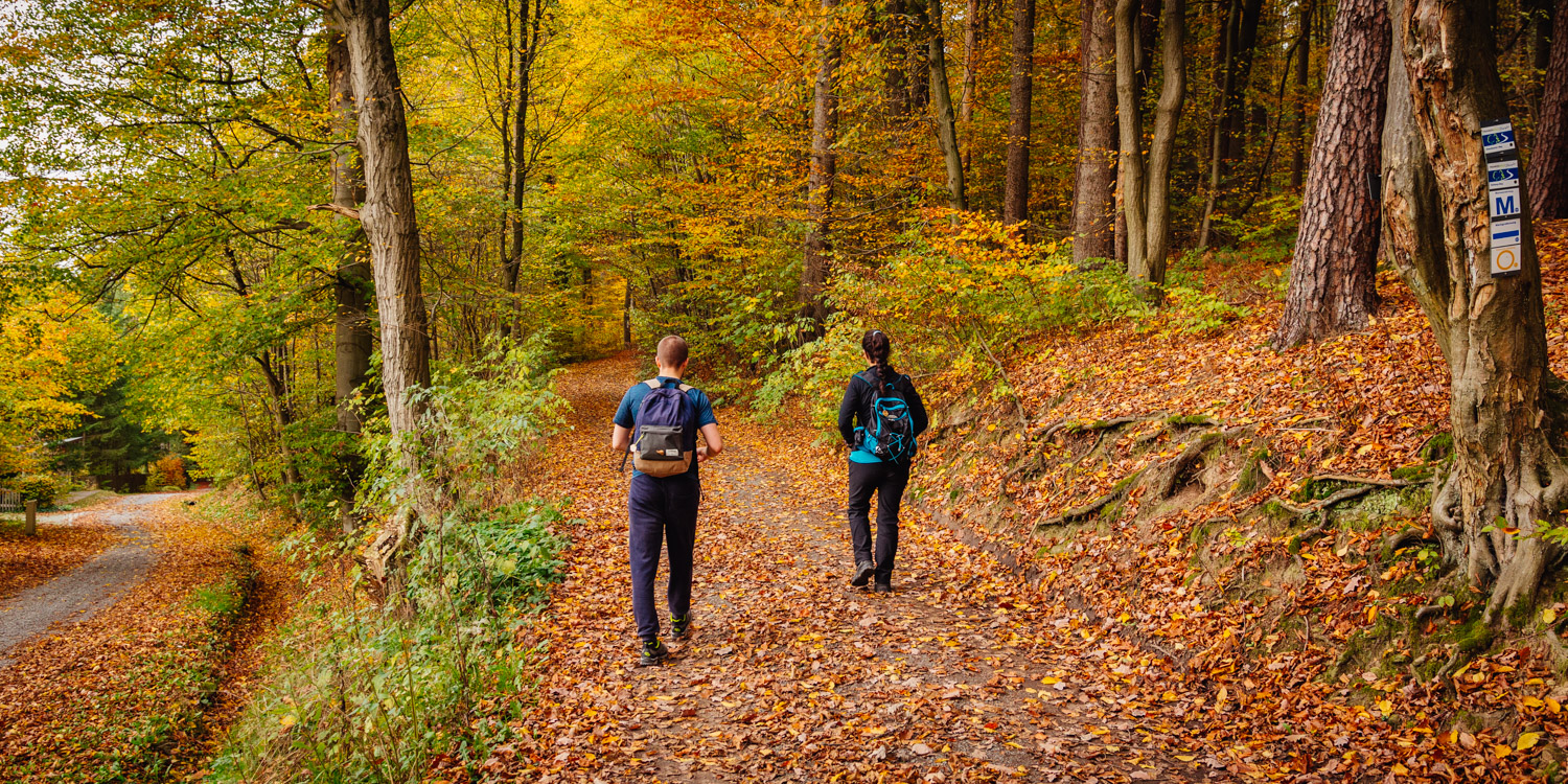 2022-10-29 Kulmbach Autumn Hike-0505