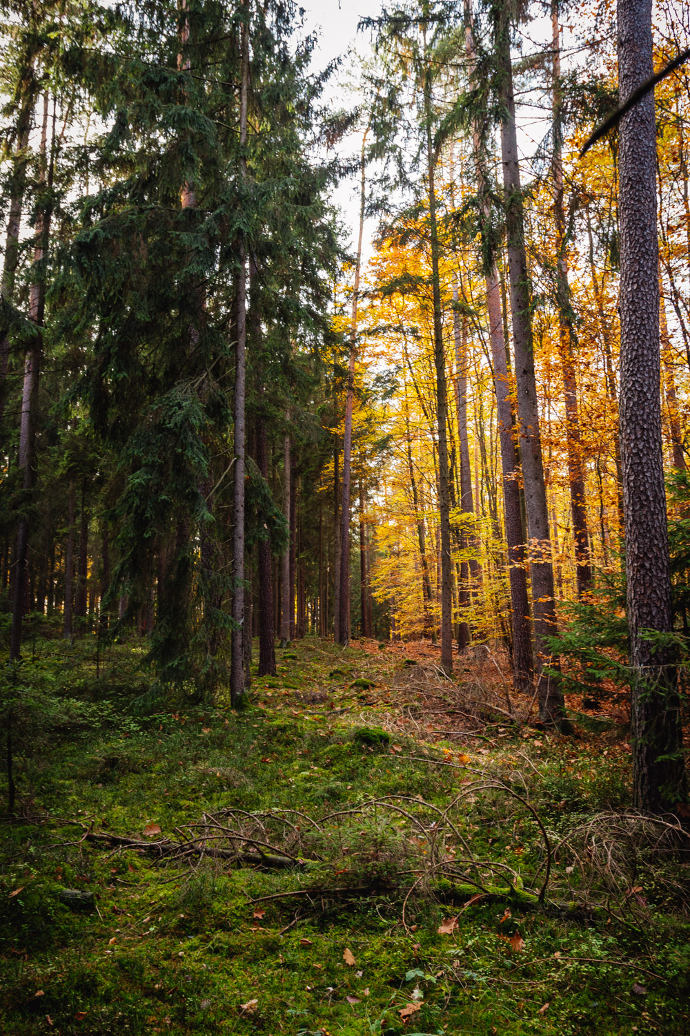 2022-10-29 Kulmbach Autumn Hike-0510