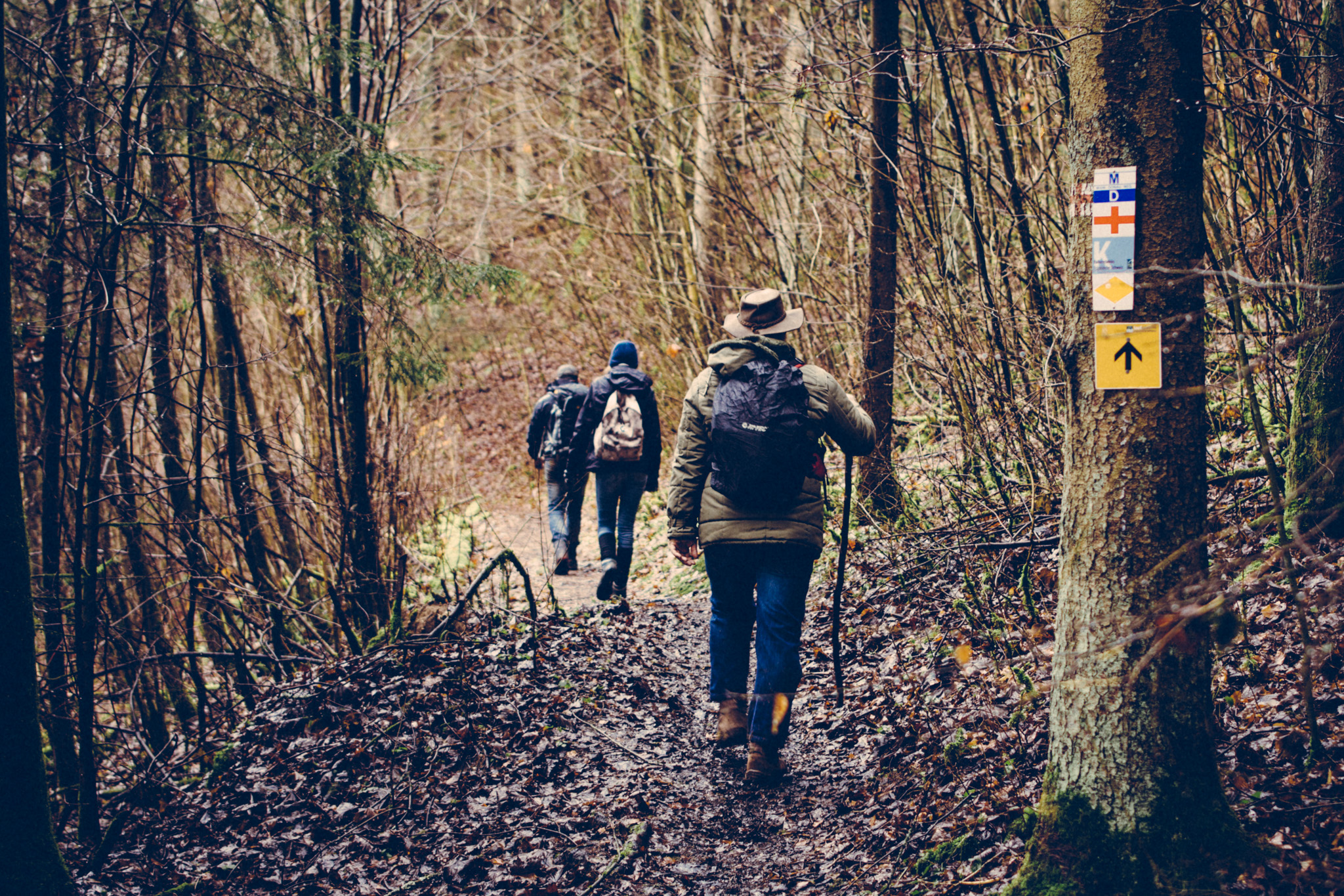 Pottenstein-hike-3319