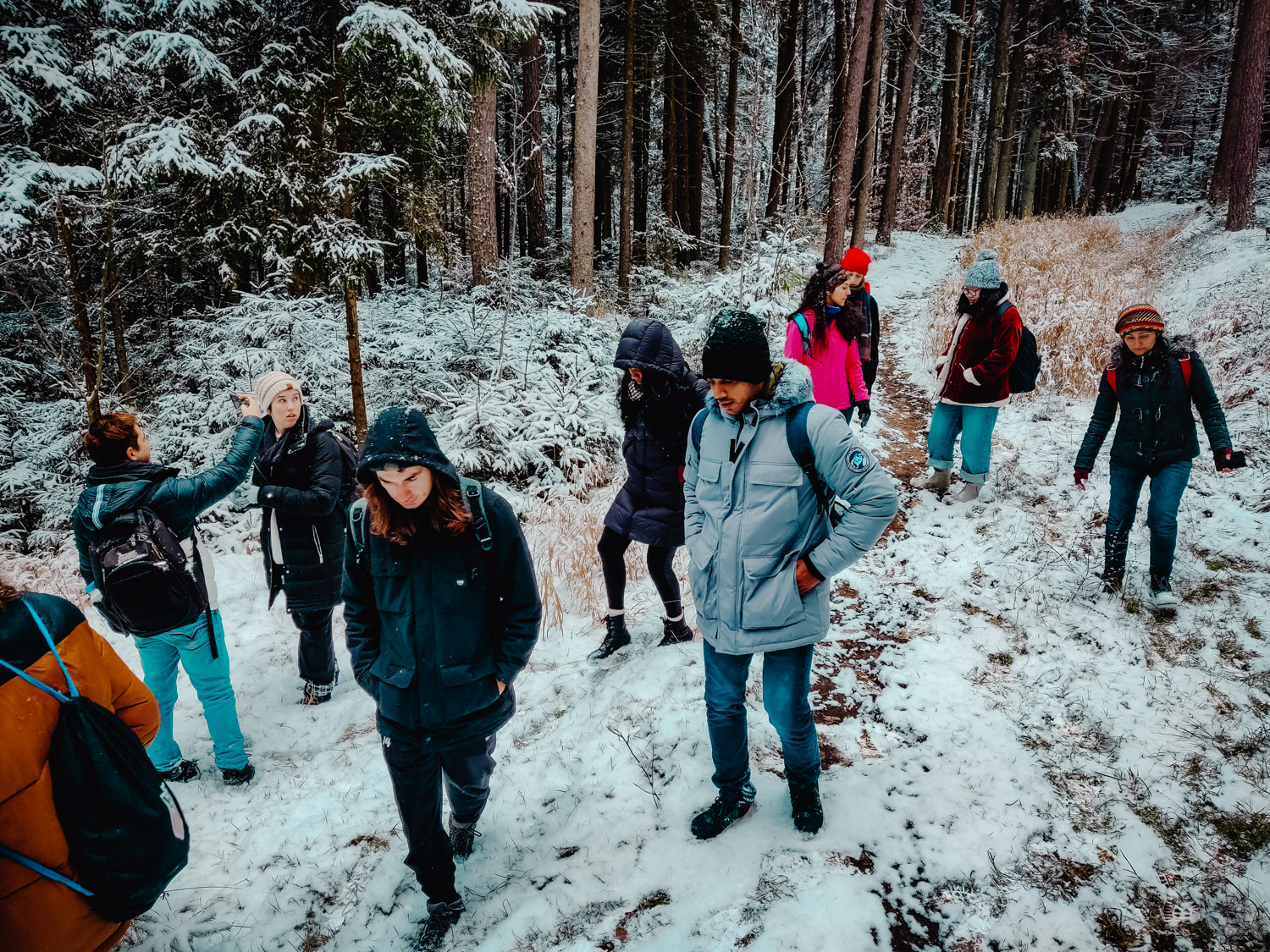 2022-12-11 Bayreuth Blueberry-132327
