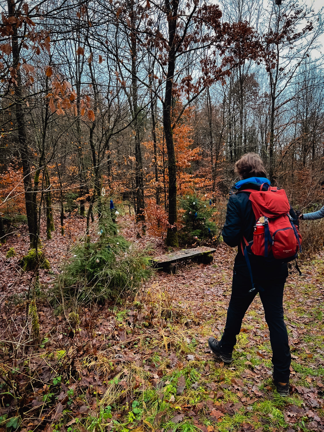 2022-12-25 Christmas hike-0036
