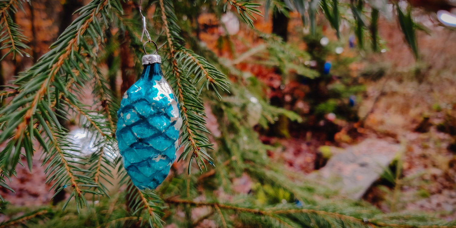 2022-12-25 Christmas hike-121627