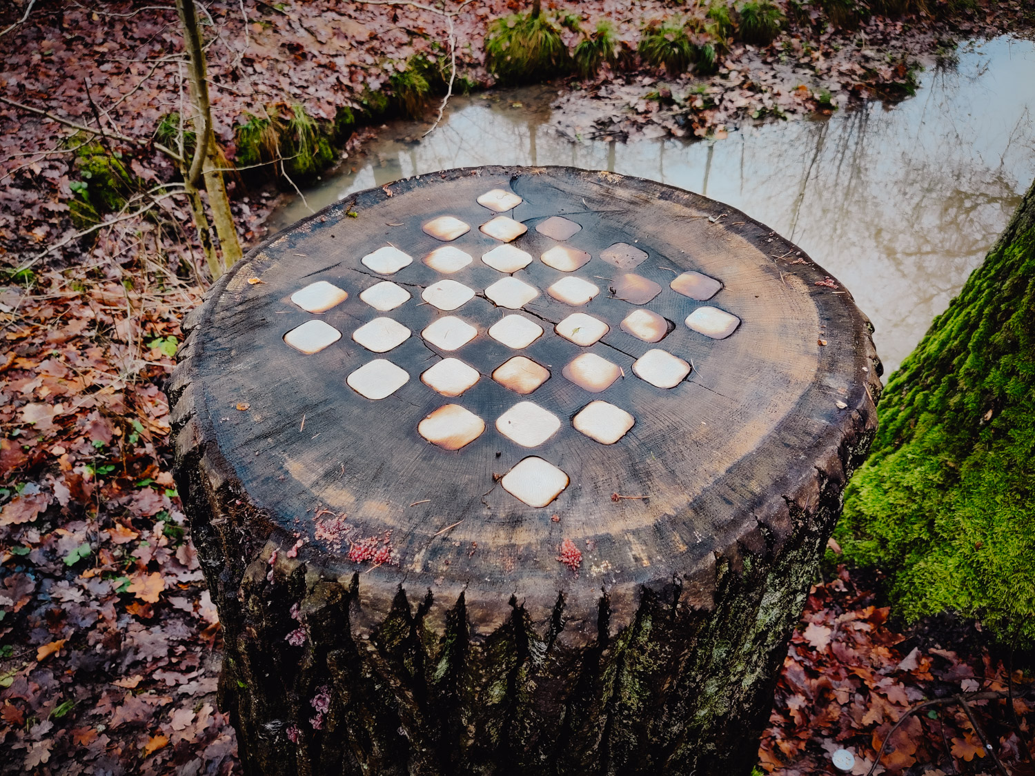 2022-12-25 Christmas hike-142415
