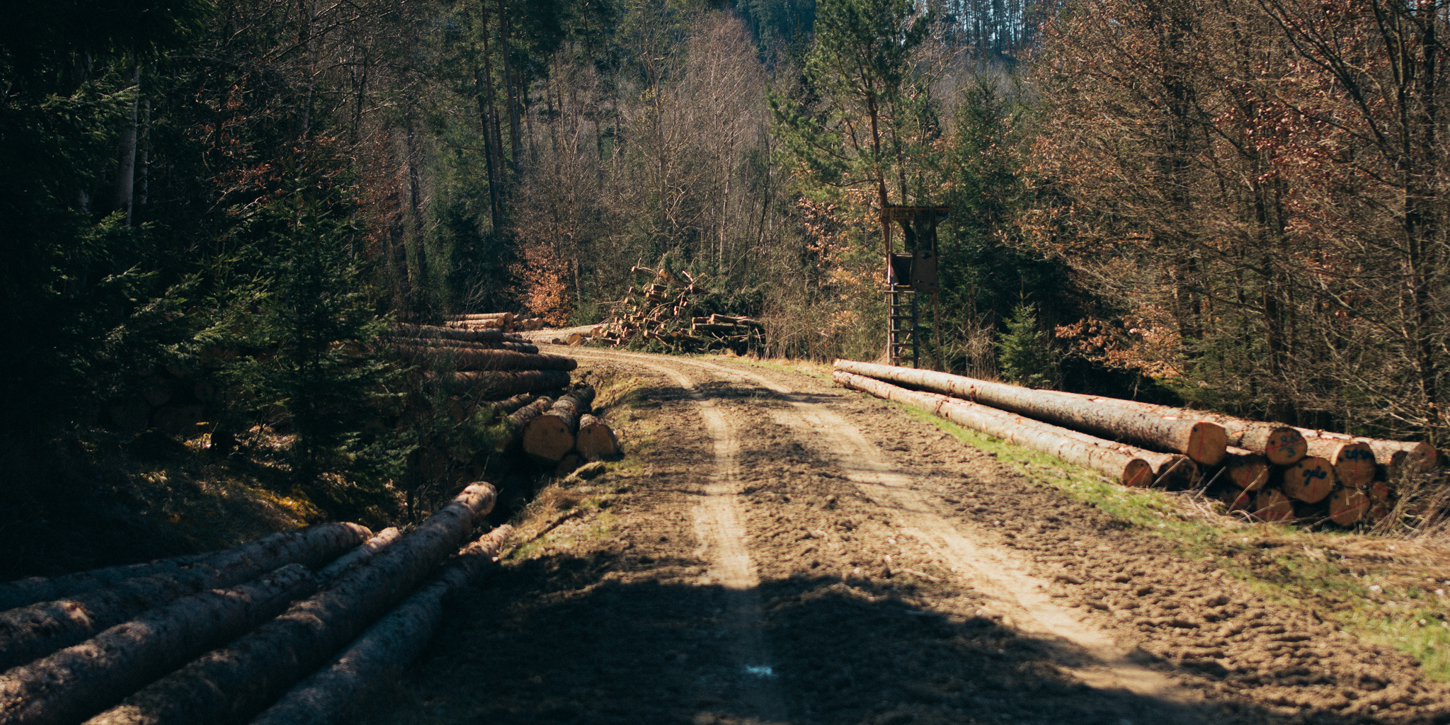 2018-04-07 Glashütten-5238
