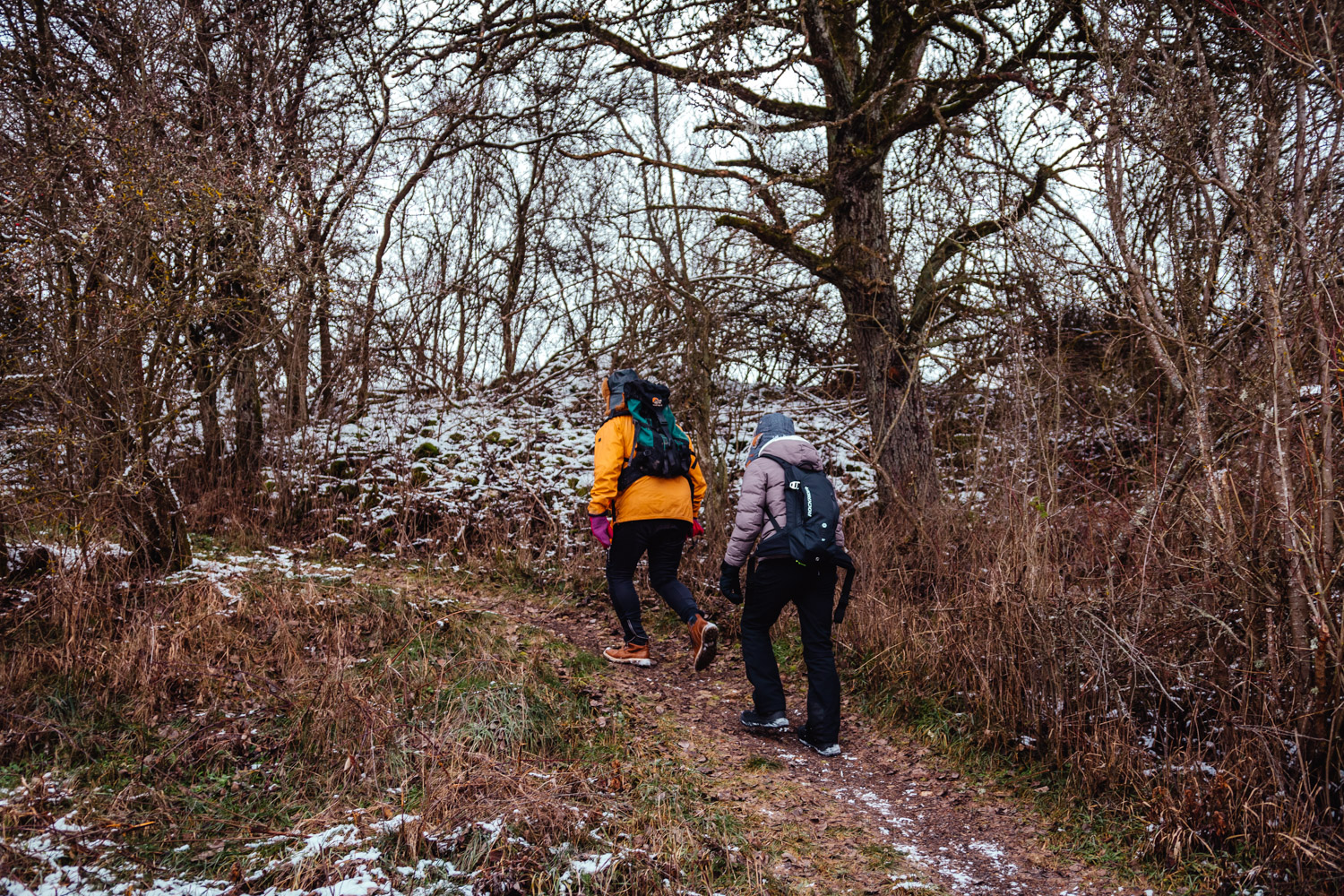 2023-01-21 Kleiner Kulm Pegnitz-0700