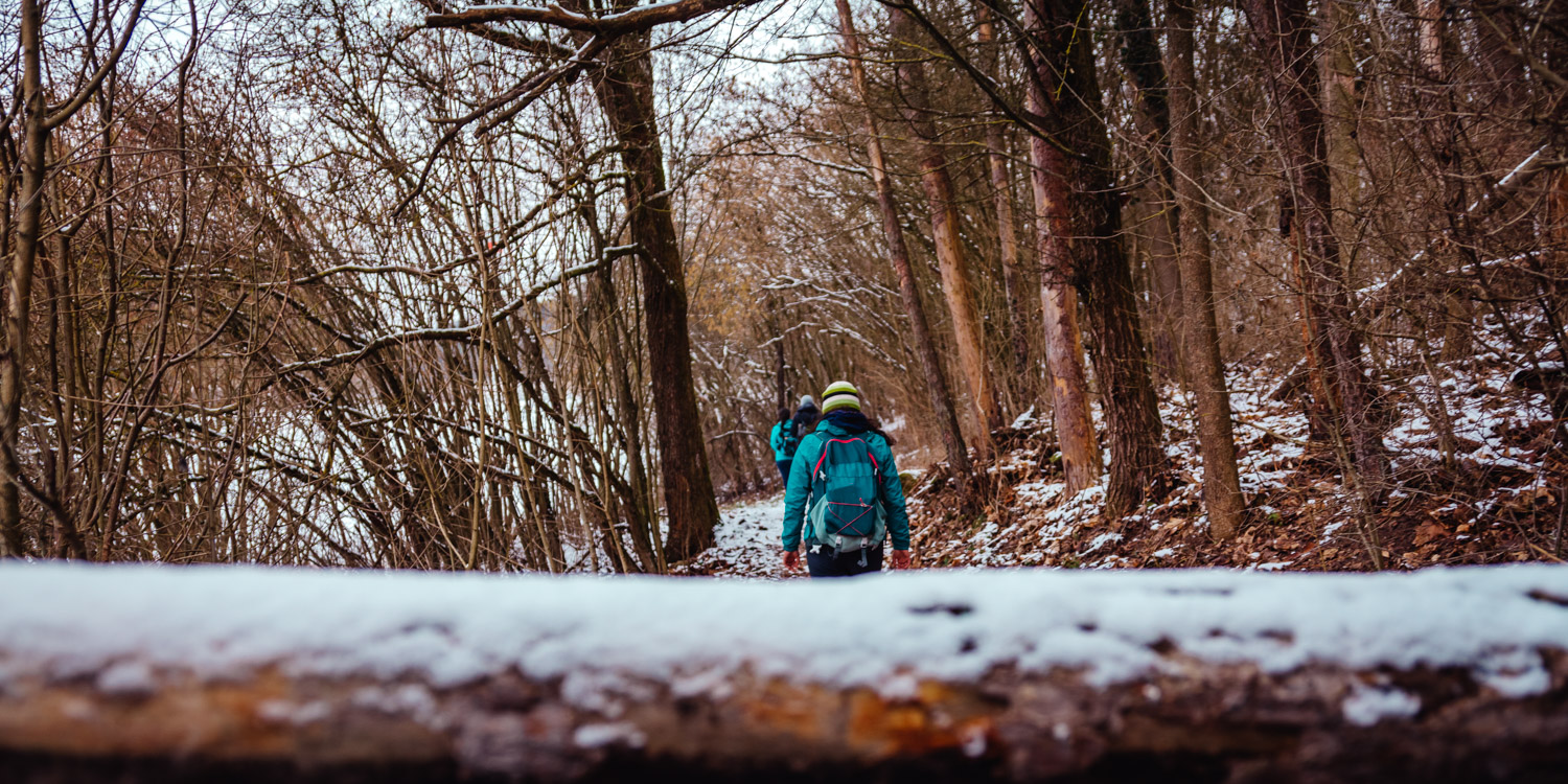 2023-01-21 Kleiner Kulm Pegnitz-0704