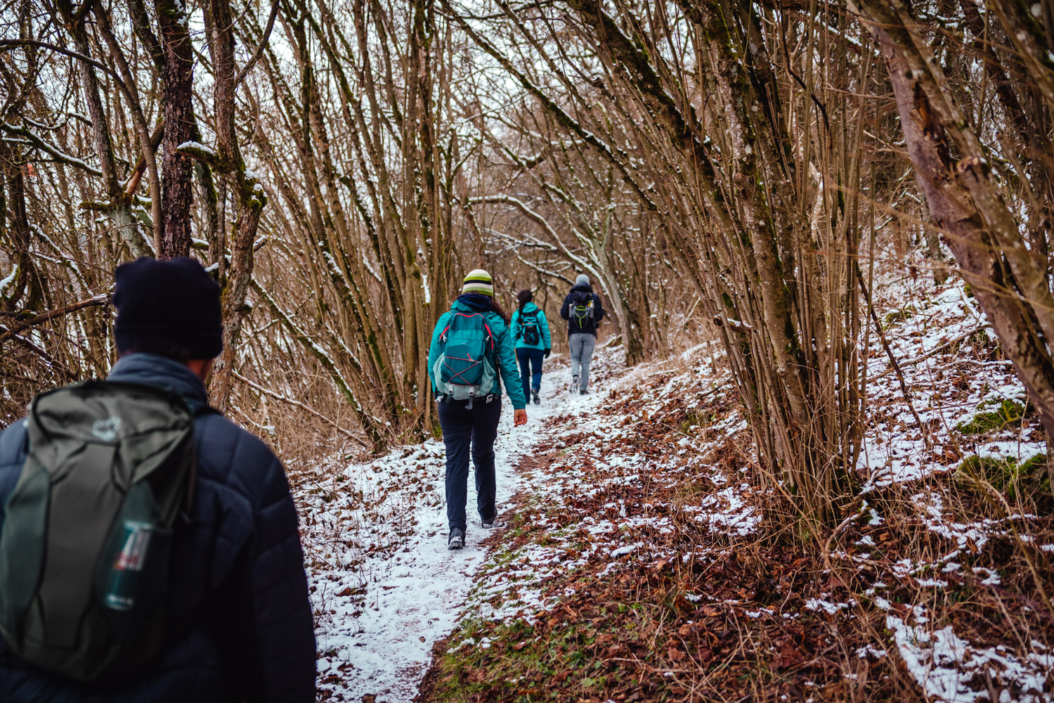 2023-01-21 Kleiner Kulm Pegnitz-0705