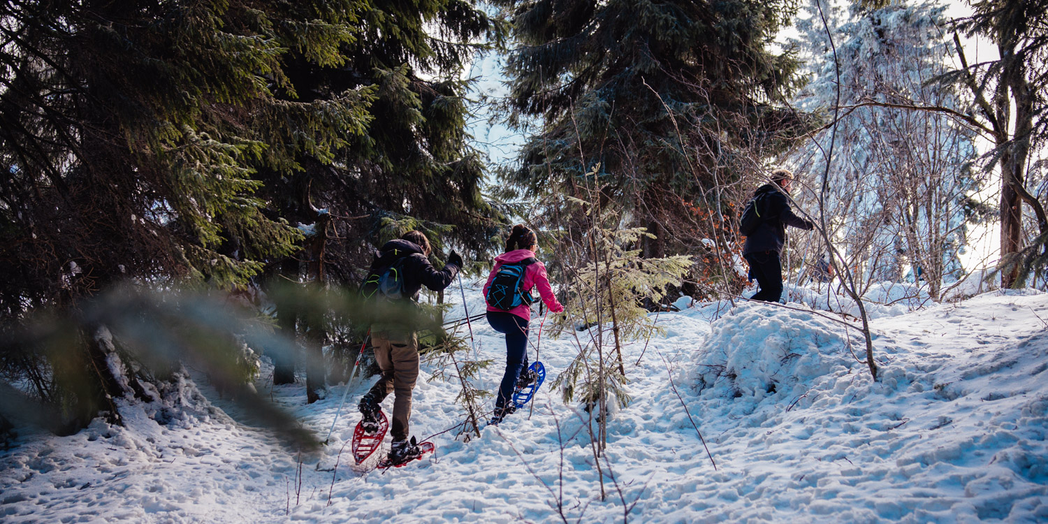 2023-02-04 Ochsenkopf Snowshoe-1188