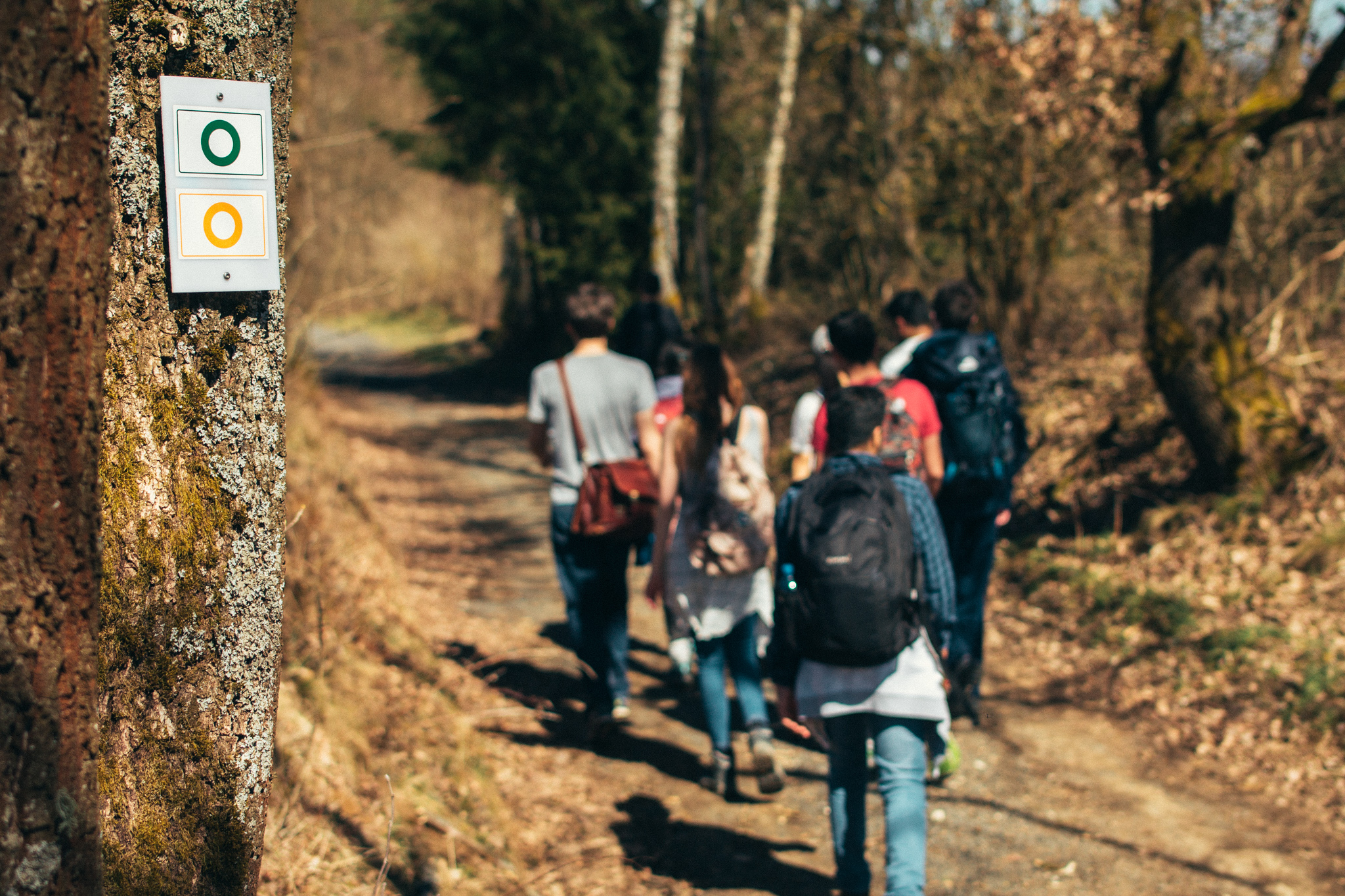 2018-04-07 Glashütten-5325