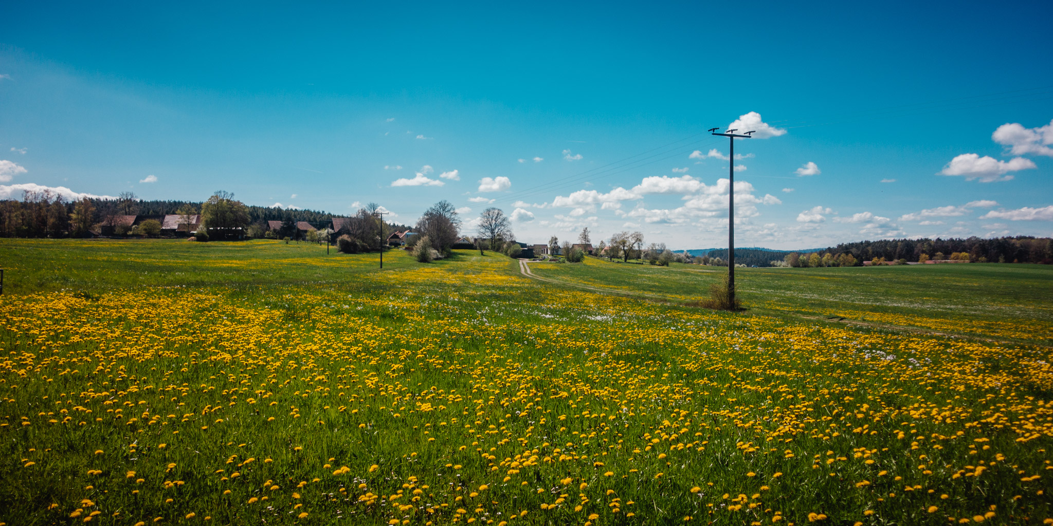 2023-04-30 Trebgast-0407